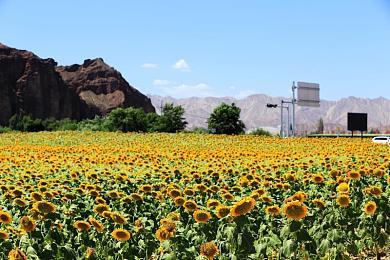 《沙丘：觉醒》“求生厄拉科斯”新预告片分享